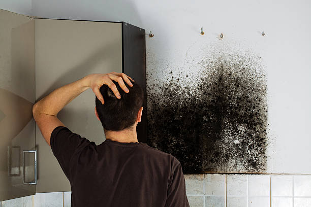 Best Office Mold Removal Services  in Aledo, TX